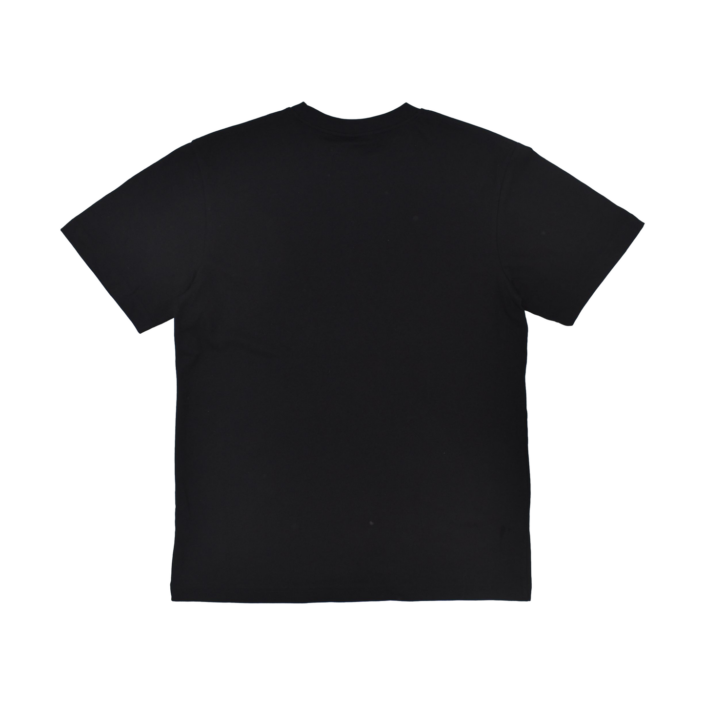 Pickleball Is Not A Crime Tee